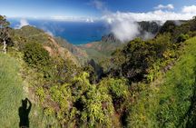 Kauai Shore Excursion - Waimea Canyon Adventure Tour - Nawiliwili
