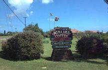 Kauai Shore Excursion - Waimea Canyon Adventure Tour - Nawiliwili