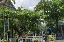 Private Kingston and Bob Marley Museum Tour from Falmouth