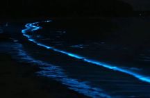 Sunset- Magical bioluminescent plankton Kayaking trip from Catba 