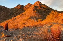 Spectacular Sunrise Guided Hike in Phoenix, Arizona