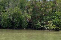 Can Gio Mangrove Forest & Authentic Thanh An Island Private Tour