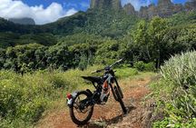 Unique excursion to Moorea on a 100% electric motorbike