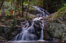 Explore Mae Kampong Village from Chiang Mai City