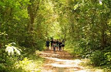 Full Day Trekking Cat Ba National Park, Viet Hai Village, biking