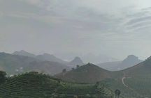 Qixianfeng Tea Plantation Tour in Yangshuo