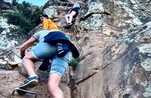 Lion's Head Sunrise / Sunset Hike