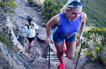 Lion's Head Sunrise / Sunset Hike