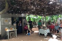 Tour Visiting banana plantation and winery in Tenerife