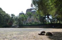 Hidden Treasures of Addis Ababa - Food, Culture and History Tour