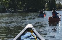  Canoe Paddle Tour from Totnes
