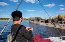 From Livingstone, Victoria Falls or Kasane - Chobe Day Tour