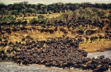 3 Days Masai Mara Group Joining Safari 