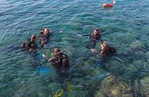 Intro Dive in Dubrovnik