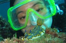 Intro Dive in Dubrovnik