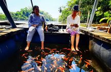 Private Day Tour of the Southern Coast from Colombo/Negambo