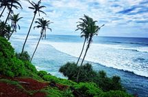 Private Day Tour of the Southern Coast from Colombo/Negambo