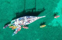 Half-Day Trip from Key West with Kayaking, Snorkeling & Sunset 