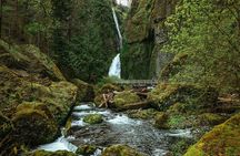 Columbia Gorge Waterfalls: Botanical Discovery Hike