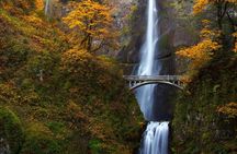 Columbia Gorge Waterfalls: Botanical Discovery Hike