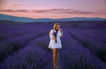 Cappadocia Red Tour + Lavender Garden