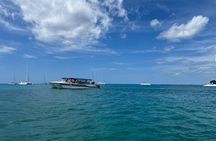 Tour to Saona Island with Lunch and Transportation