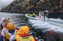 Guided Puffin Safari Boat Tour