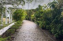 Rose Hall Great House and Montego Bay Tour