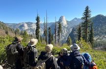 Yosemite Team Building Adventure Hike