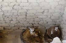 Chauchilla Cemetery and Artisans Workshop Tour