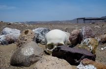 Chauchilla Cemetery and Artisans Workshop Tour