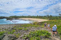 Discover Arecibo on UTV by the coast 