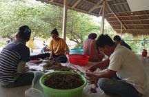 Kampot/Cambodia pepper farm . Cave. lake. Kep Crab market & more.