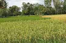 Kampot/Cambodia pepper farm . Cave. lake. Kep Crab market & more.