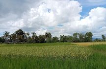 Kampot/Cambodia pepper farm . Cave. lake. Kep Crab market & more.