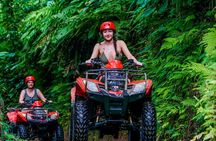 Experience ATV Ride to Gorilla Cave and Waterfall with Lunch