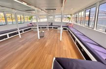 Sydney Whale Watching Adventure Cruise