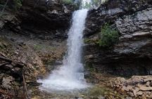 Calgary to the Rocky Mountains Private Day Tour
