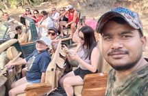 Ranthambore Tiger Safari Private Same Day Trip from Jaipur