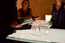 Backcountry E-Bike Adventure from Bordeaux: Wine Tasting & Lunch