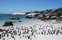 Full-Day Penguins & Cape Point with Table Mountain Cable Car