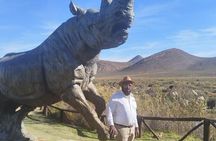 Aquila Reserve Safari with Lunch and Wine Tasting