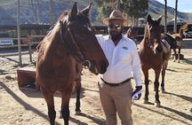 Full Day Big Five Safari with Lunch and Wine Tasting Experience