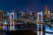 Tokyo Private Night Tour by Car/Van - English speaking chauffeur