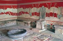 Crete Discovery Palace of Knossos, Wine and Olive Oil Experience