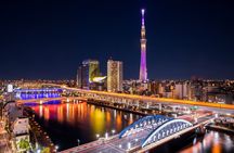Tokyo Private Night Tour by Car/Van - English speaking chauffeur