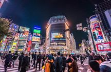 Tokyo Private Night Tour by Car/Van - English speaking chauffeur