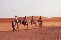 Shared 4D3N Desert from Marrakech to Merzouga (2D stay in Desert)