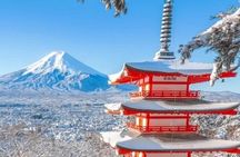 Mt Fuji Private Day Trip from Tokyo with English speaking driver