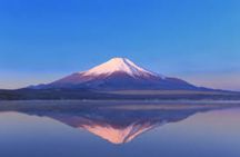 Mt Fuji Private Day Trip from Tokyo with English speaking driver